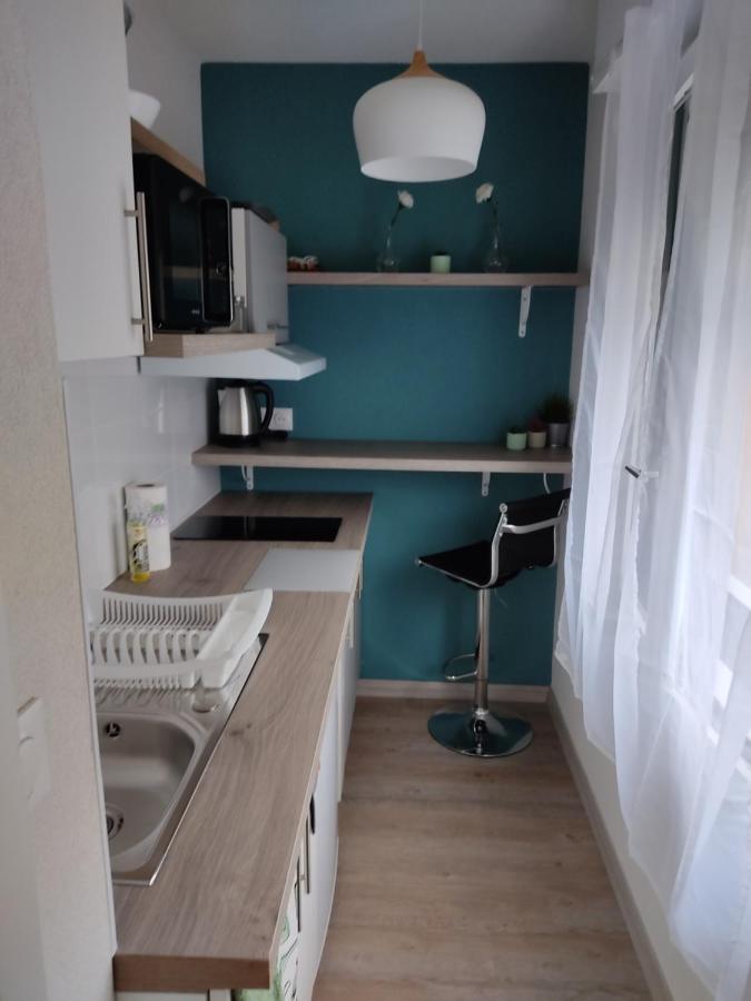 Studio Cosy Proche Du Centre + Parking Gratuit Cluses Ngoại thất bức ảnh