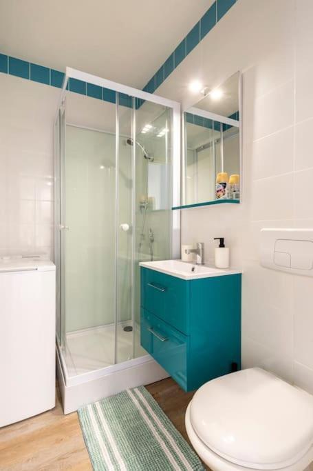 Studio Cosy Proche Du Centre + Parking Gratuit Cluses Ngoại thất bức ảnh